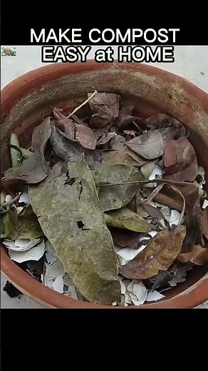 Make Compost at Home Fast 100% #shorts #agriculture #compost #gardening #organic