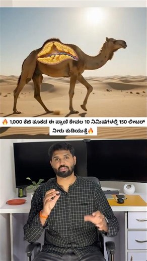 Camel Facts That Will Blow Your Mind! 🐪 | 150 Liters Water in 10 Minutes 😱 #shorts #wildlife