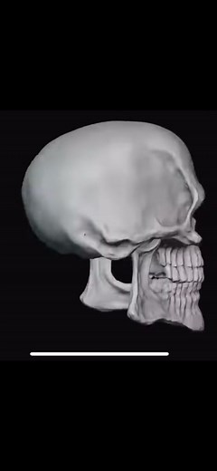 Skull Spinning with Guitar Riff Meme Compilation