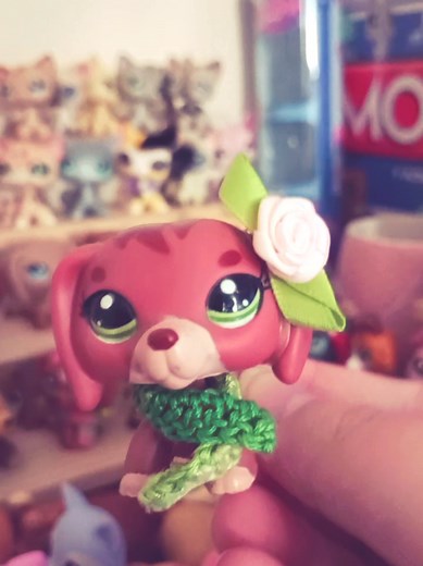❤️🧡💛💚🩵💙💜🤎🖤🩶🤍🩷#lps #lpstiktok #lpstok #lpscommunity #lpscollection #littlestpetshop #lpsfyp #unboxing #lpspl #lpspop #lpsyt #lpscollector #newlps #lpspolska