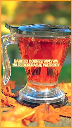 The surprising properties of rooibos – not just the taste!