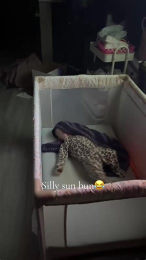 Explore the World of ASMR with My Cute Baby Girl