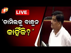 🔴 LIVE | ତାମିଲକୁ ବାନ୍ଧୁନା କାହିଁକି? | Raja Swain Hits Out With ‘Tamil Thief’ Remark | OTV