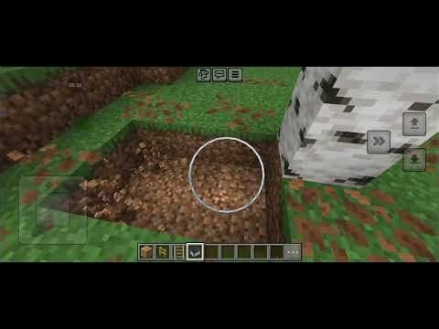 How to troll your friends on Minecraft