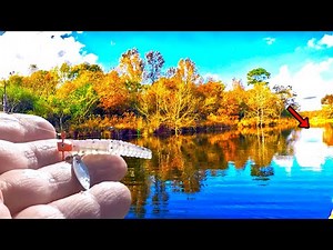 Let Me Show You How To Catch Huge Crappie Easy On Your Lake