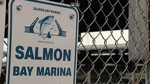 Seattle boaters face scramble as Salmon Bay Marina to close 3 docks by March 2026