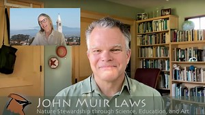 Connecting with Nature Through Journaling