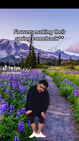 Spring Flowers Blossoming on Trails: A Hiker's Dream