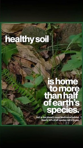 Healthy Soil Ecosystem: The Regenerative Classroom -- free for all educators #soilhealth #teaching