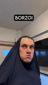 How dog breeds react to robbers | Jonny