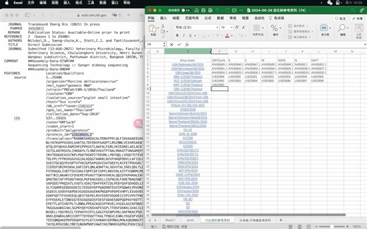 「Excel」准备批量下载目的基因蛋白序列