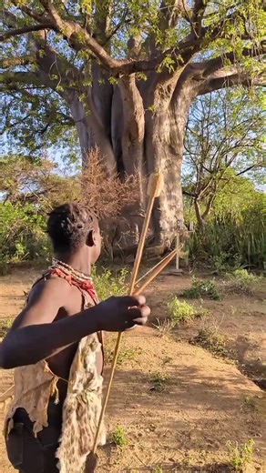 They Heard a Sound… But It Escaped | Bush Awareness