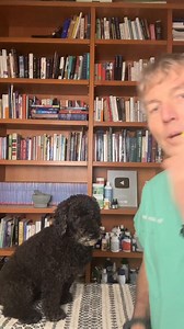How to save your dog if choking: Dog Heimlich 📘Dr. Jones' Free Book: http://veterinarysecrets.com/news/ #dogemergency911 #dogemergency #dogchoking #dogheimlich | Dr. Andrew Jones - Veterinary Secrets