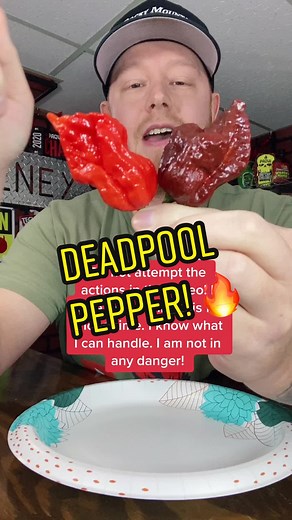 DEADPOOL PEPPER! @dudewipes #fyp #spicekingdom #spiceking #real #deadpool #hotpepper #spicychallenge #hot #spicy #spice #follow #dudewipes