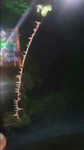 DJs Battle It Out in EPIC Competition!