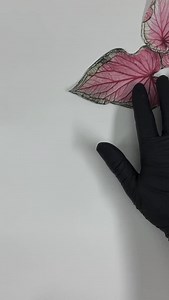 Astrid Wilk Studio on Reels