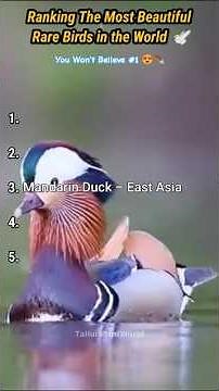 Top 5 Most Beautiful Rare Birds in the World 🕊️ | You Won’t Believe #1!