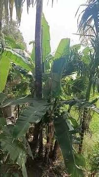 God's own country 👌👌 #love