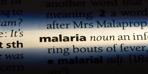 Malaria in Florida: What to know »  Emerging Pathogens Institute » University of Florida