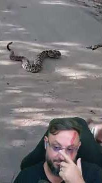 Man bitten by a rattlesnake #biologohenrique #animals #smartanimal #biologist