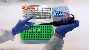 Flow Cytometric Analysis of Multiple Mitochondrial Parameters in Human Induced Pluripotent Stem Cells and Their Neural and Glial Derivatives