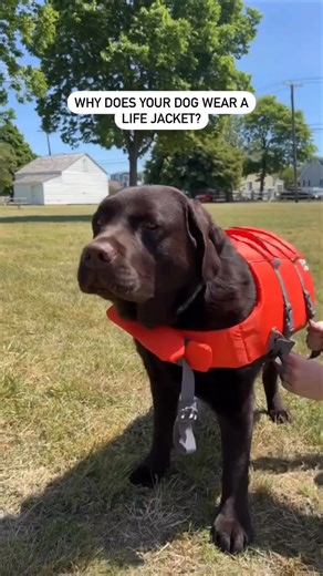 8.2K views · 156 reactions | When we initially shared a photo of...