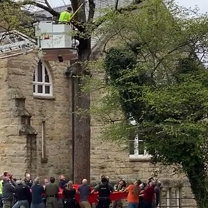 A group of rescuers used a tarp to catch a black bear who was stuck in a tree in Clarion, Pennsylvania. Check out more trending stories on ITK: https://bit.ly/39pSMAR | In The Know