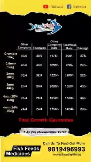 Fish Feed Rate Comparison – Aap Shock Ho Jaoge! 😱