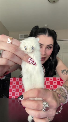 ANOTHER PERFECT MYSTERY BAG FROM @The Wicked Raven ❤️😻 I already wanna go back to @Terror Trader Horror Market and get another 😝#mysteryjewlerygirl #alttiktok #valentinesday #jewelrytiktok #makeup