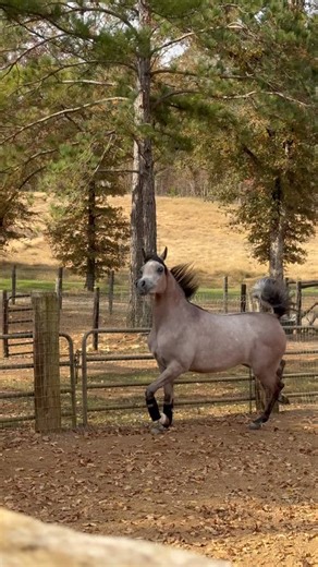 2.6K views · 534 reactions | Ted Carson on Reels | Facebook