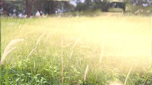 Memorable Journeys at KKN Perumnas Way Halim