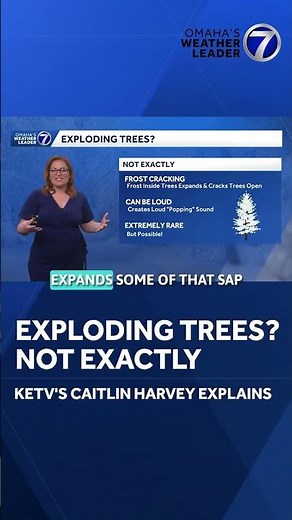 Can trees 'explode' from extreme cold? Not exactly. KETV's Caitlin Harvey explains