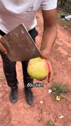 How to perfectly peel a pomegranate