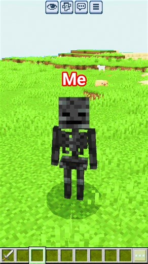Minecraft But I'm a Wither Skeleton