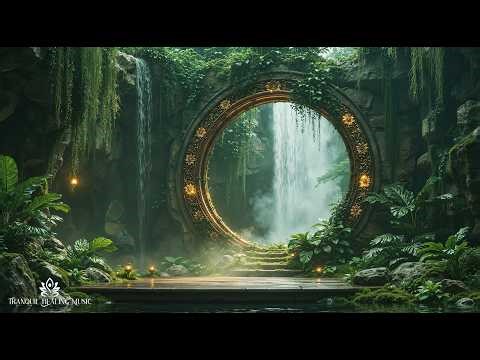 Zen Forest Relaxing Ambience for Stress Relief | Nature Sound & Refreshing Atmosphere to Inner Peace