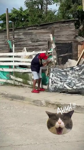 8K views · 90 reactions | Funny Troll (79)#funnytroll, #trolling, #trollface, #trollin, #epictrolling, #hilarious, #trolls, #trolllife, #trollnation, #trollhumor | The Funny TV | Facebook