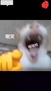 Cười cái coi 😄😄😄😄😄 | cười chút chơi