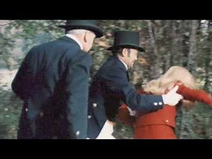 Our Sleepless Forrest