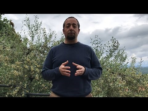 Introduction to the Ecological Footprint