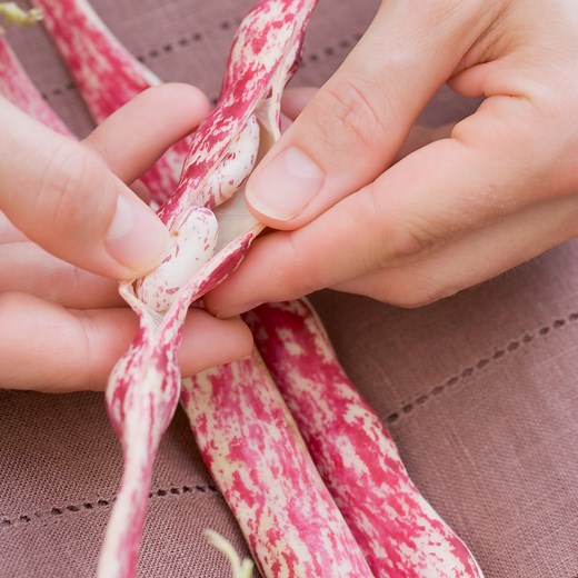 Borlotti Beans: What They Are & How to Cook With Them - Bite My Bun