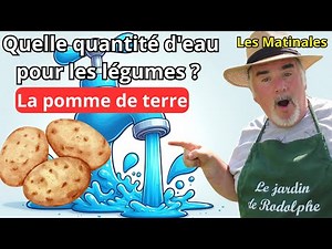 Comment Arroser vos Pommes de terre pour une Récolte Abondante