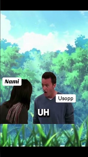 Nami and Usopp pre time skip! #coward #usopp #nami #onepieceeveryday #nakama