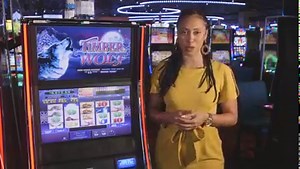 1.4K views · 33 reactions | Wind Creek Games: Timber Wolf Extreme This week Lorraine is here to tell us all about wolves and have a howling good time with a great game on our casino floor. Learn how you can hit the bonuses and take a jackpot home to your pack. Plus, find out how much one lucky guest won at Wind Creek Montgomery and see how you did on this week's Jackpot Report. | Wind Creek Wetumpka | Facebook