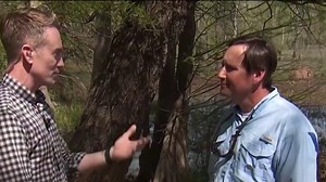 Natural reactions: How animals may behave during the eclipse