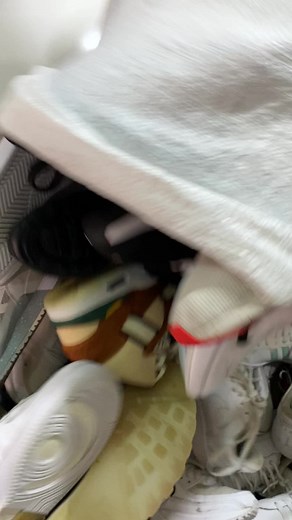 Exploring Unique Sneakers: Styles and Features