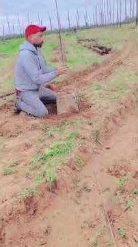 Comment installer un système d’irrigation بسهولة | Résultat incroyable 🌱