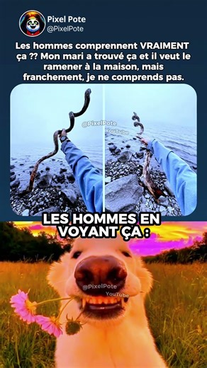 🌿 LE BÂTON PARFAIT EXISTE🪵