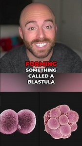 You Were Literally Born From Your Butt!