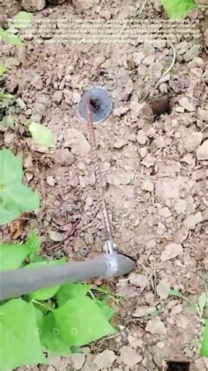 DIY single person fixed point sowing without bending over