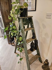 Vintage Green Wood Step Ladder - Rustic 4-step Plant Stand - Distressed Paint Decor - Etsy UK